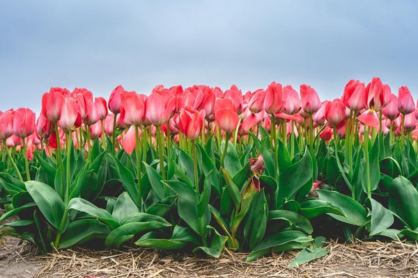 Air source heat pump installation in orpington: your eco-friendly heating solution